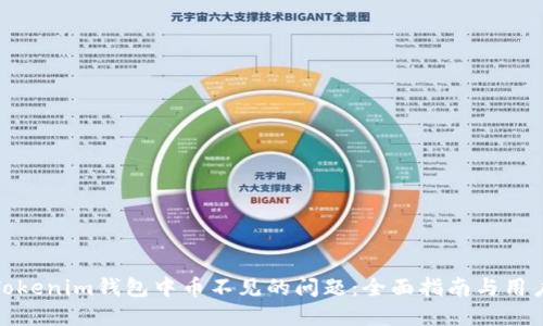 如何解决Tokenim钱包中币不见的问题：全面指南与用户自救策略